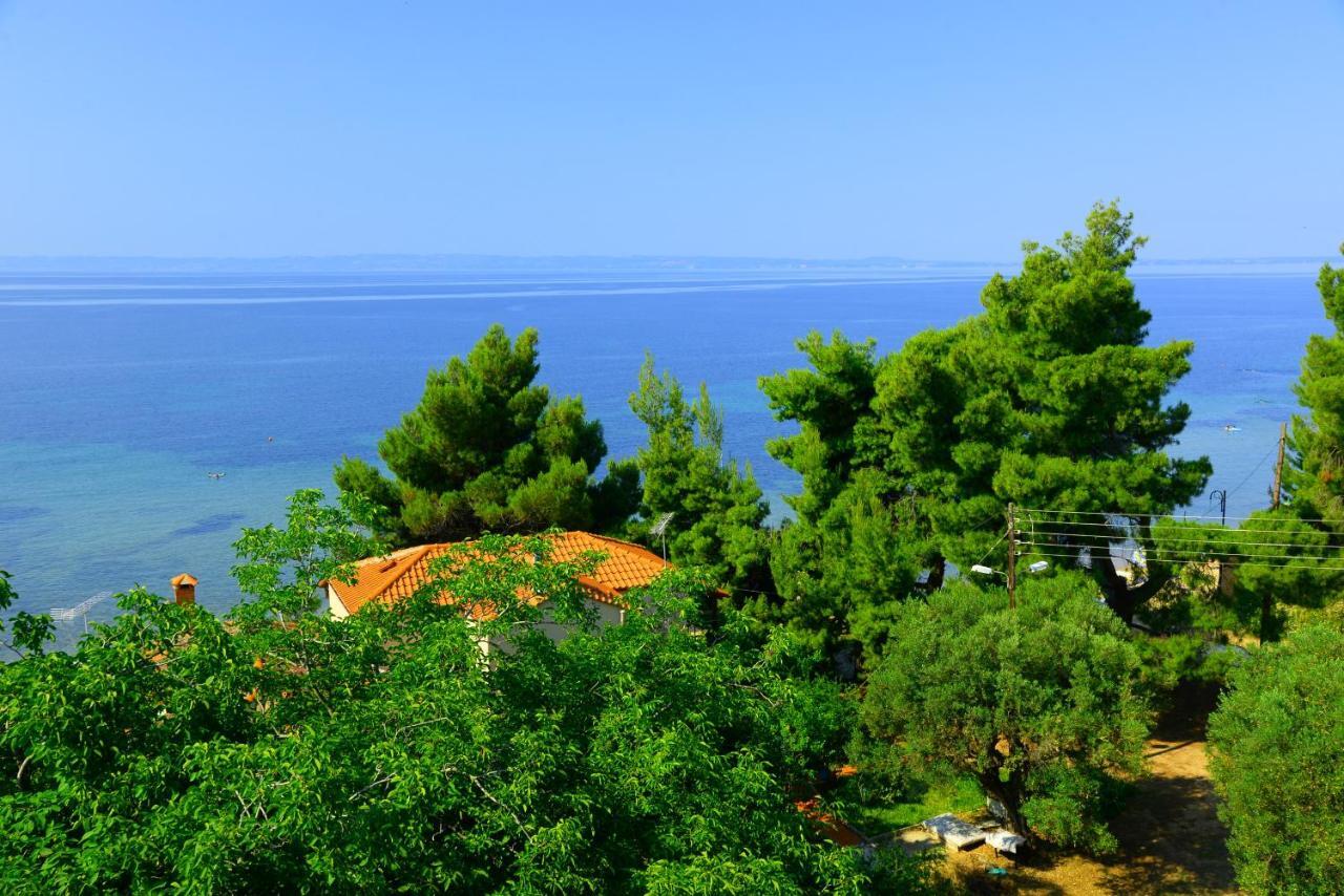 Golden Beach Hotel Metamorfosi  Ngoại thất bức ảnh